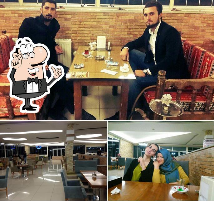 Hayal Bahçesi