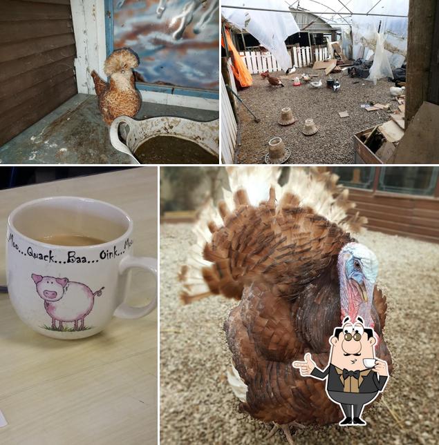 The Farmyard Cafe
