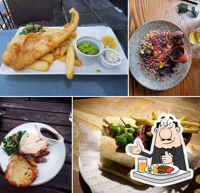The Fish And Eels