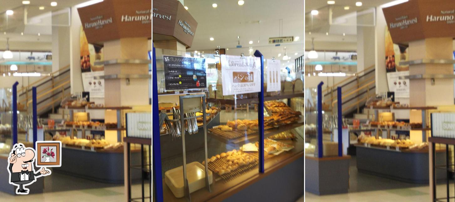 Harvest Ino Store