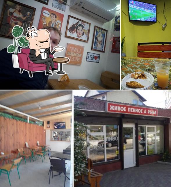 Хмель и форель