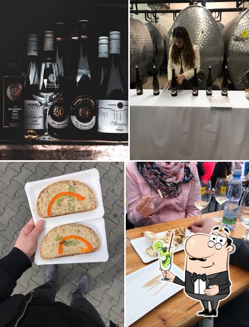 POPELA Vinařství Perná