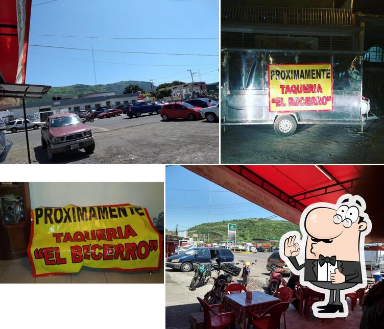 Taquería El becerro