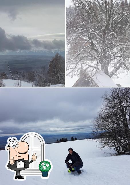 Le Coucou Sports - Location de skis