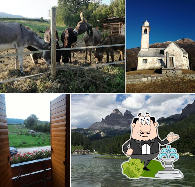 Agriturismo al Bachero