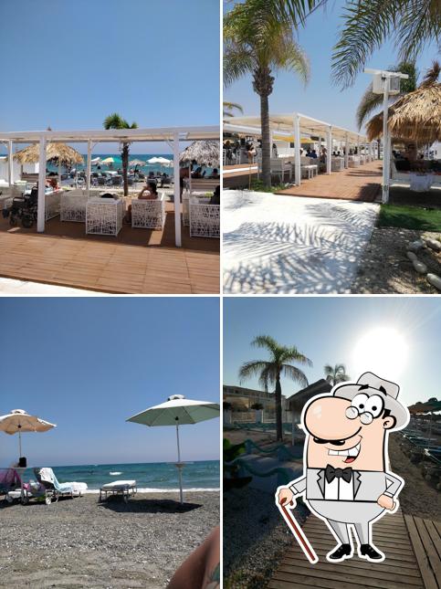 Havana Beach Bar