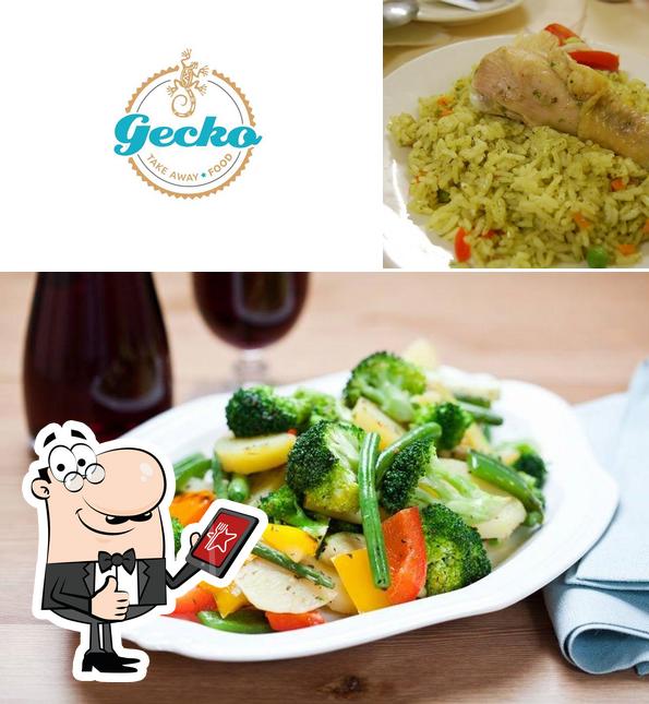 Gecko Food