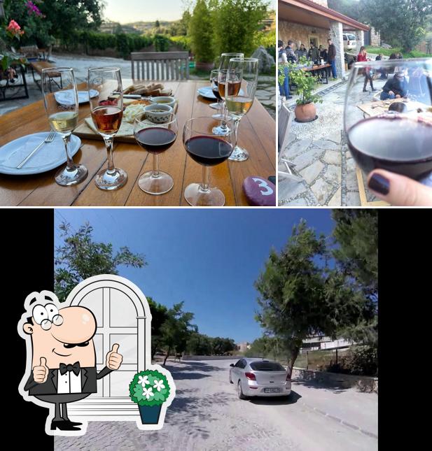 Knidos winery