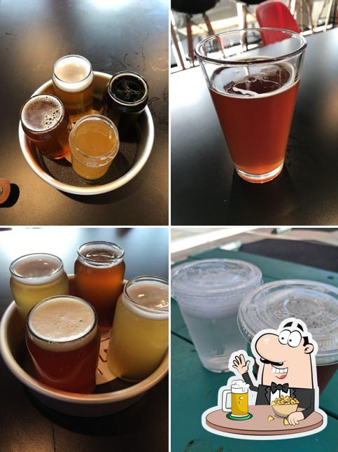 Steady Brewing