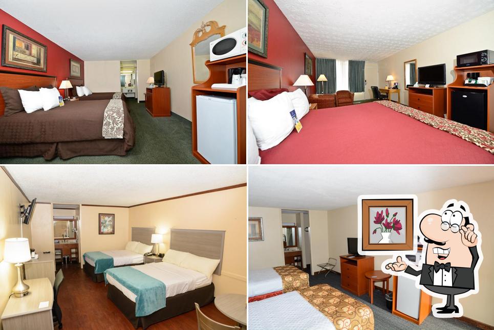 Red Rose Hotel