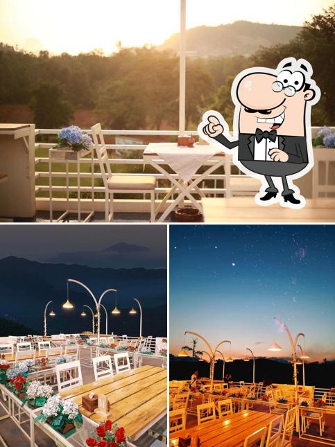 The Forrest - Rooftop Bar