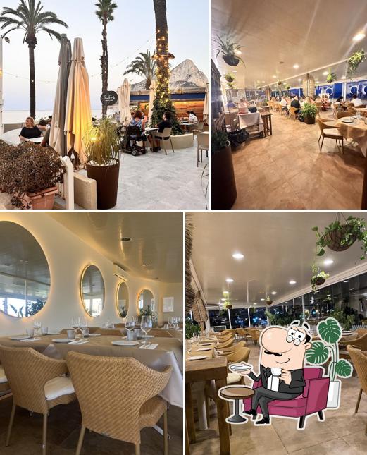 Restaurante Safrà - Arroces & Tapas
