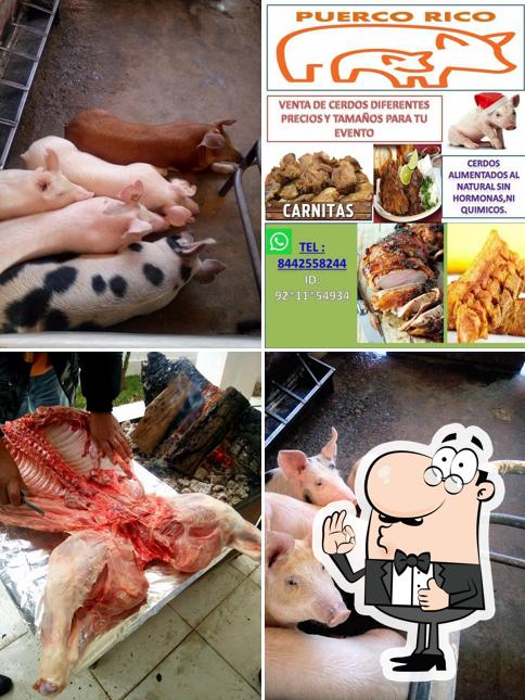 Puerco Rico