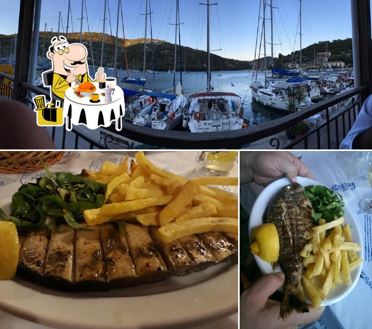 Τα δελφινια
