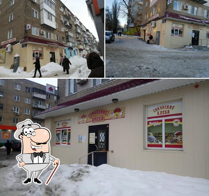 Сокурские хлеба