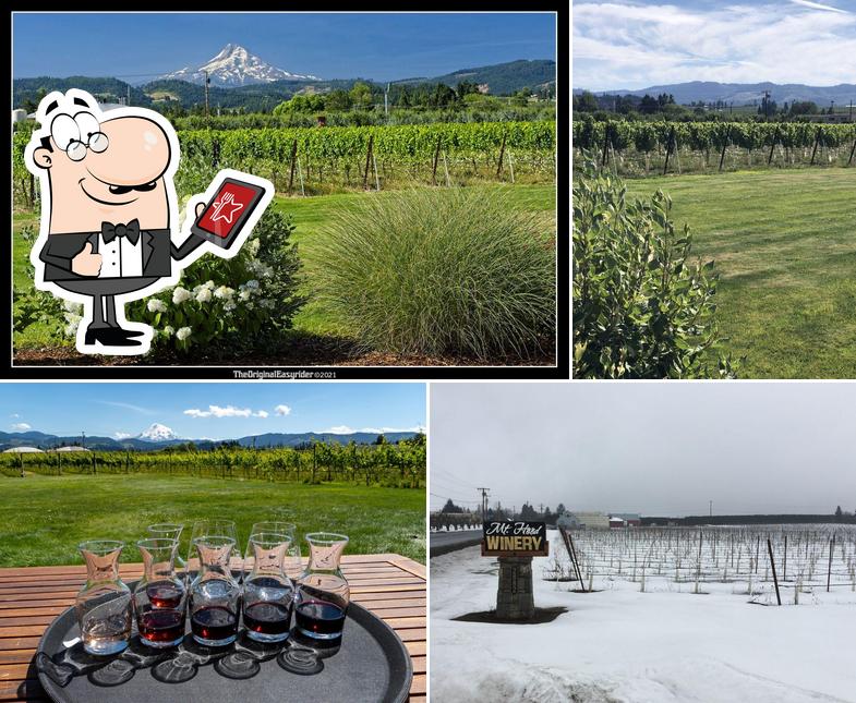 Mt. Hood Winery