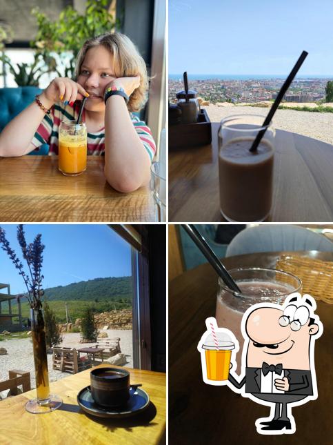 Таркоффский