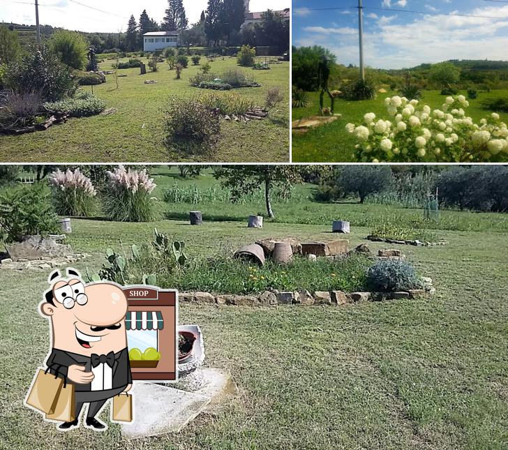 Vidin arboretum