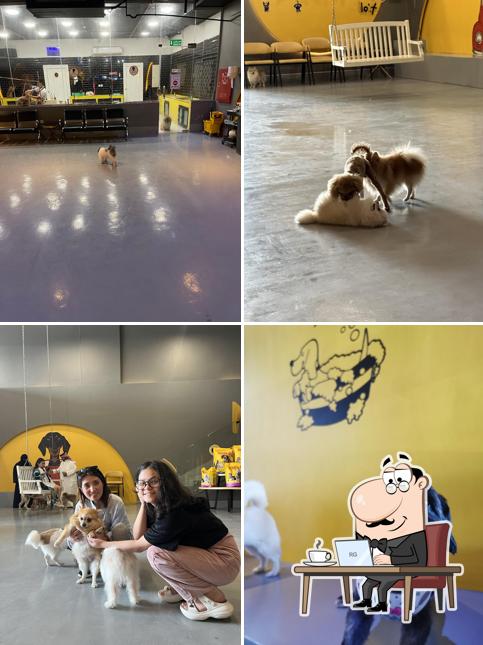 The Barking Lot