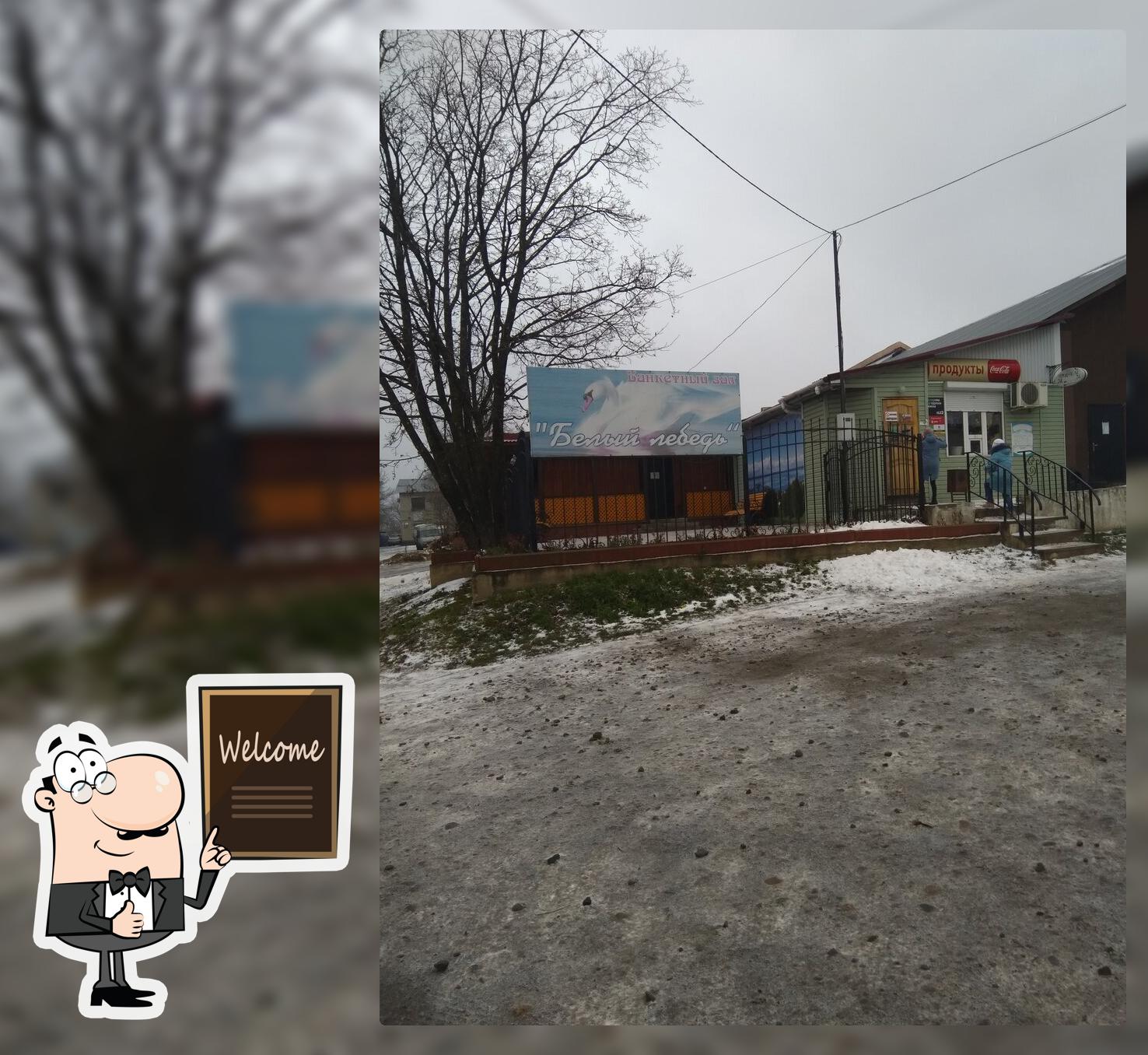 Белый лебедь