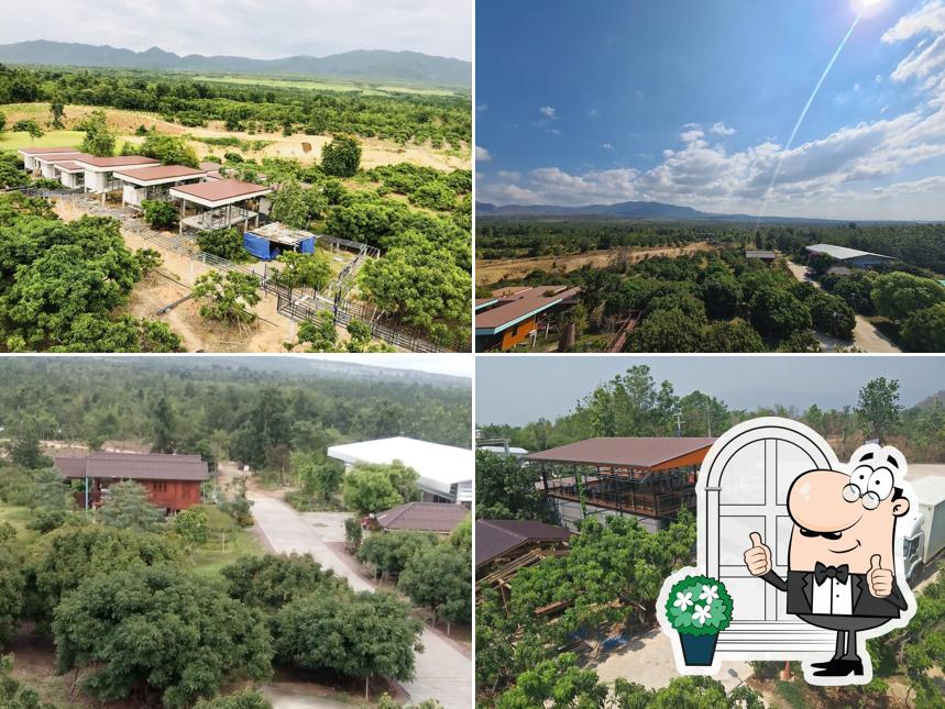 Check In Doi Tao Cafe’ & Resort