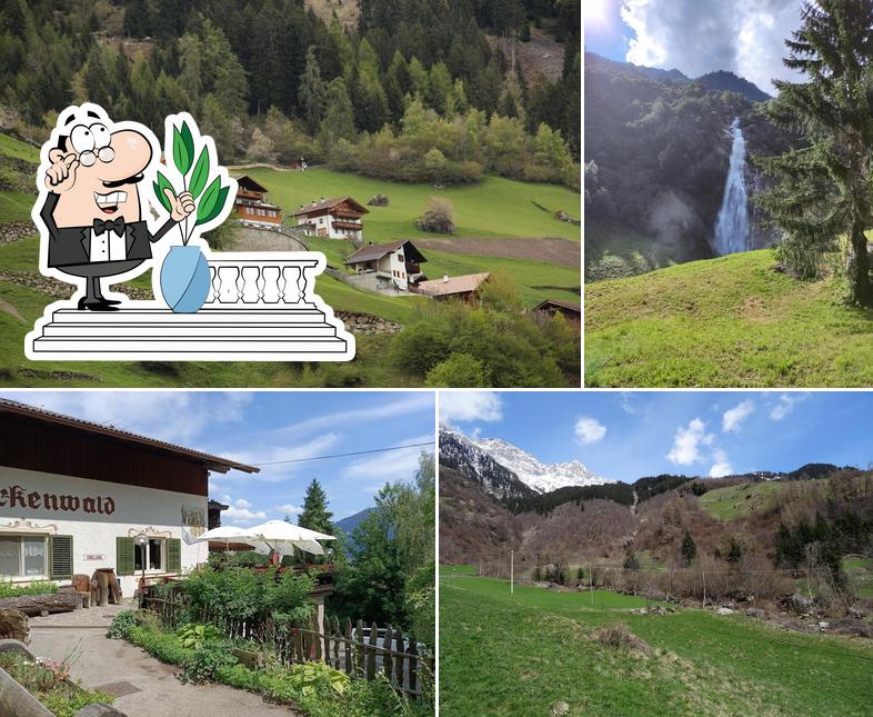 Gasthaus Birkenwald