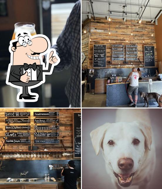 Anchorage Brewing Company