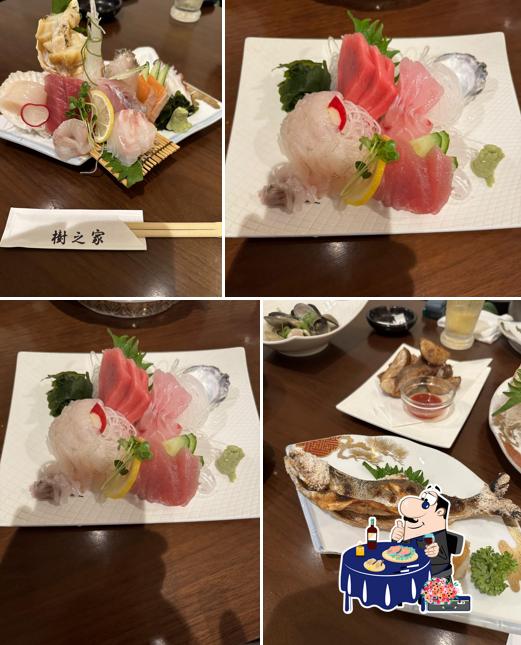 樹之家