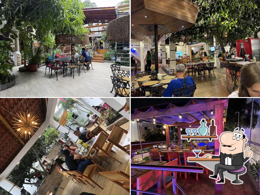 Cafetería Verde y Café Manta