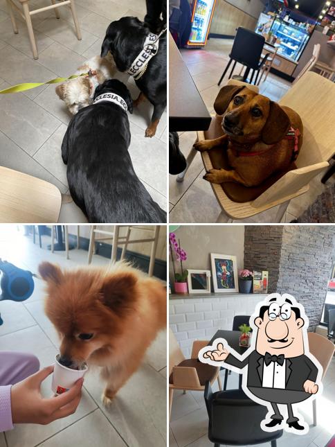 Rottie's cafe