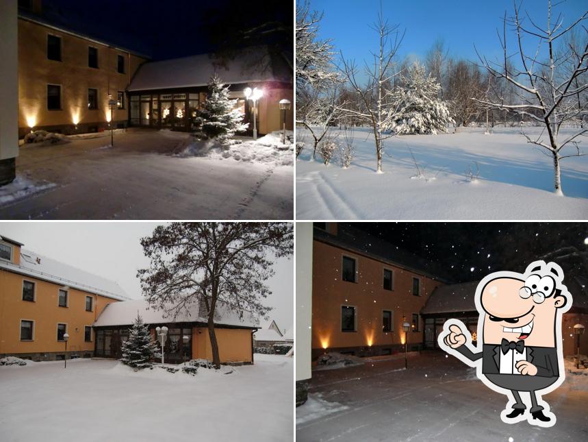 Hotel Pension Heidehof