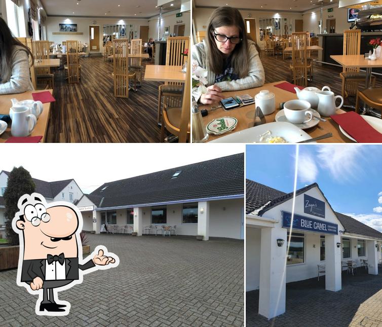Zayns Bar and Bistro