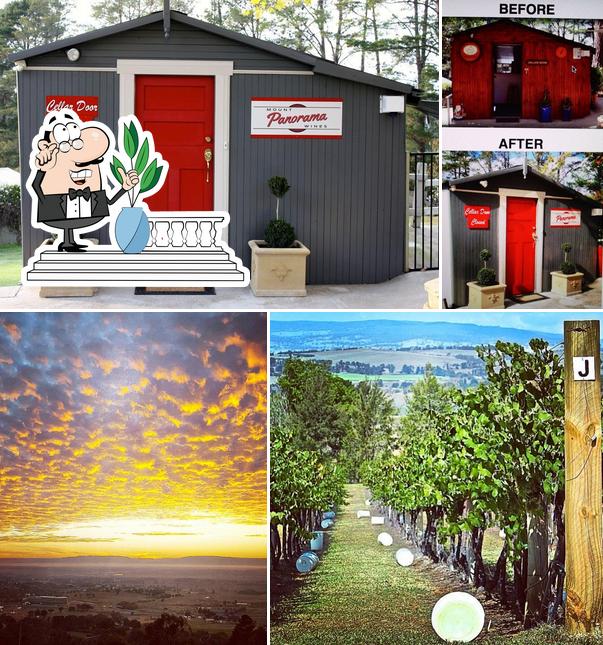 mount panorama wines