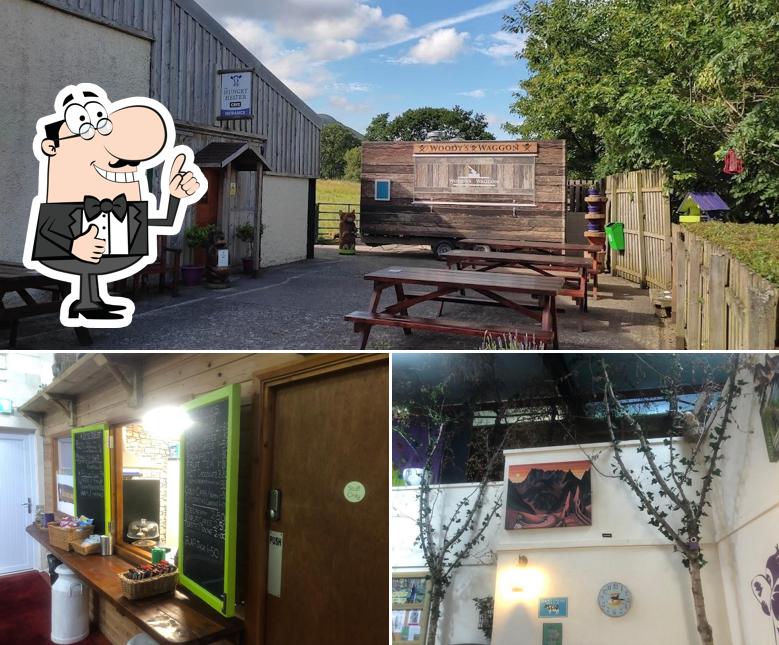 The Hungry Heifer Cafe