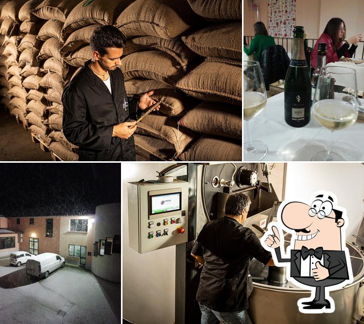 Coffee Import srl