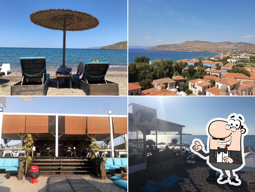Mojo Beach Bar