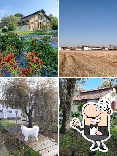 Cascina Contina