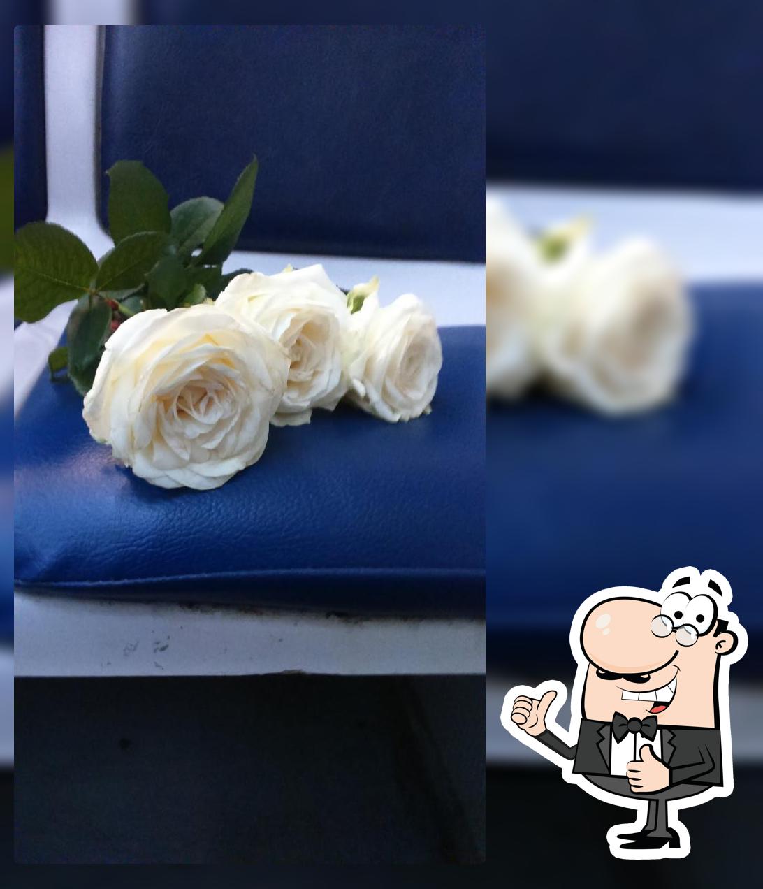 Пивной Бар