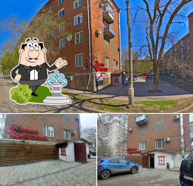 Калина красная