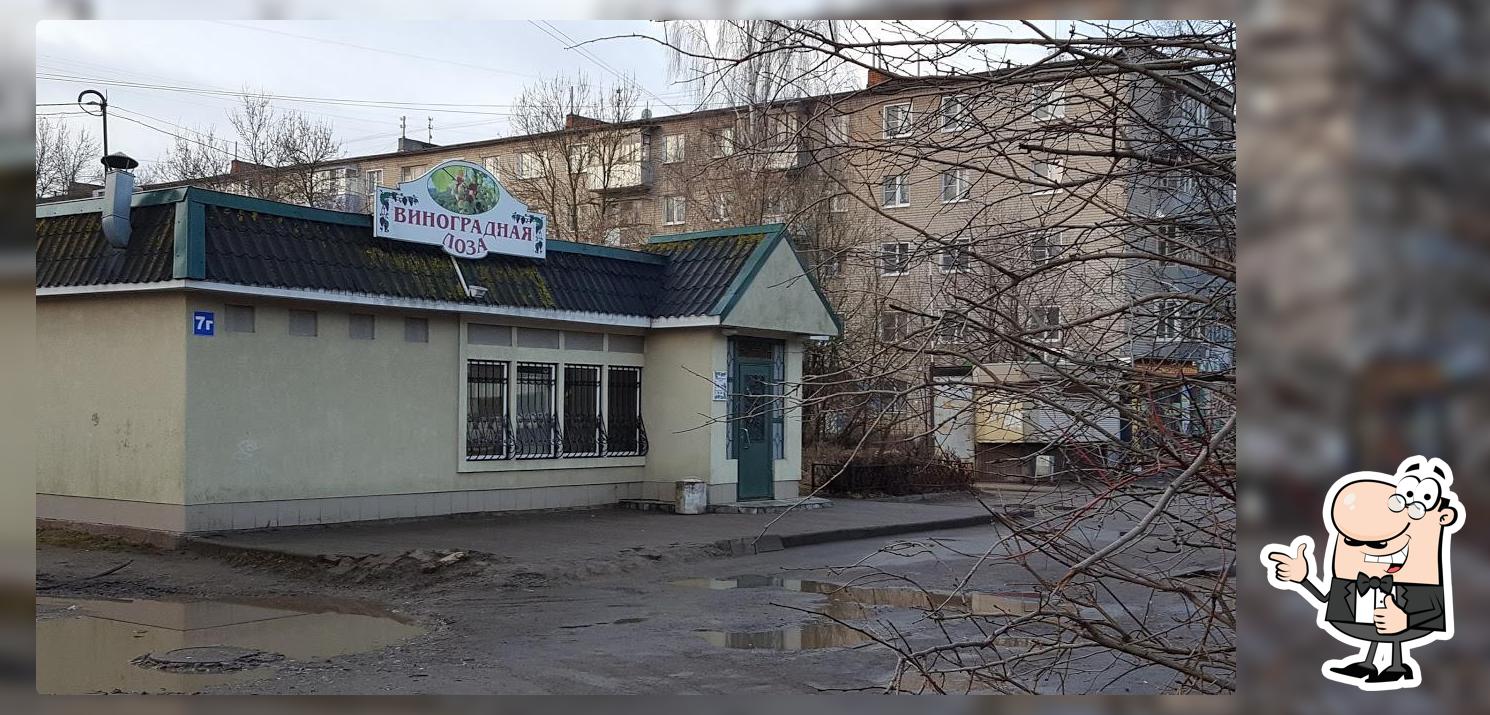 Виноградная Лоза
