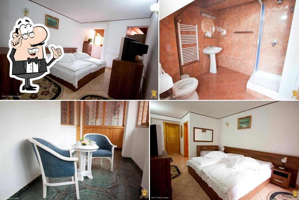 Pensiunea-Restaurant Popasul Reginei Brasov