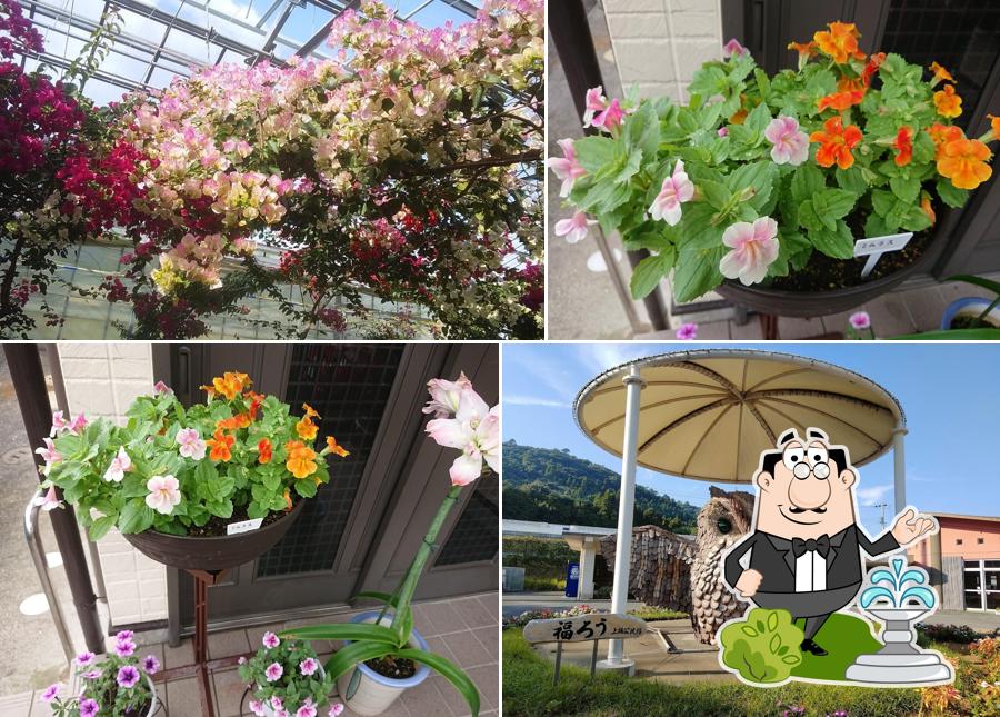 花カフェ長島