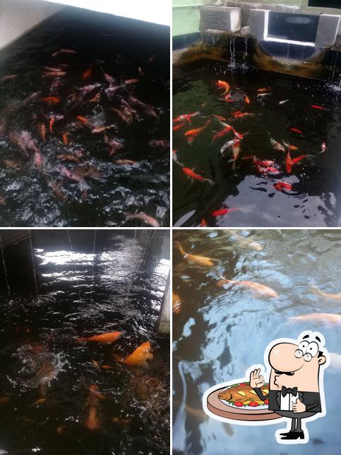 Pemancingan Dan Lesehan "BERKAH - KU"