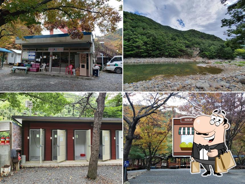 둥지가든
