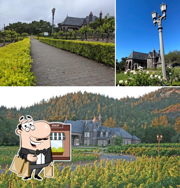 Ledson Winery & Vineyards