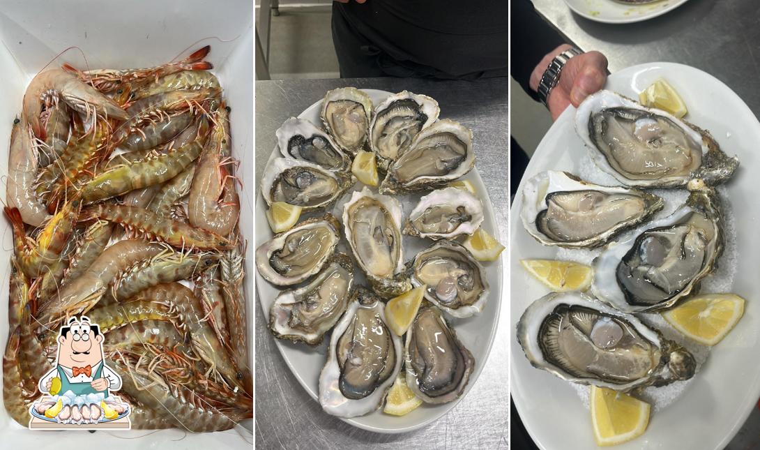 Mr Fish Trattoria