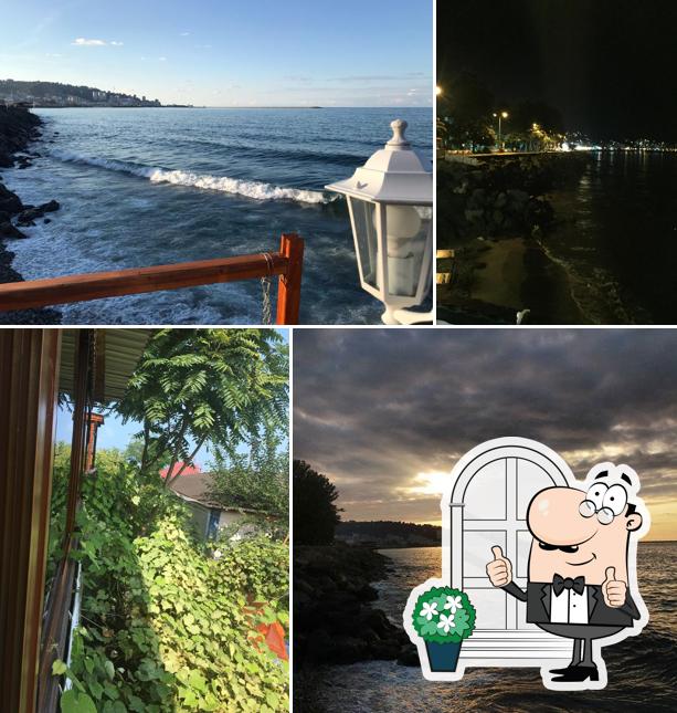 Coast Coffee Rize