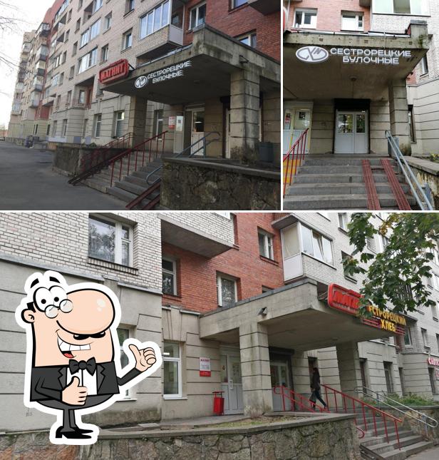 Сестрорецкие булочные