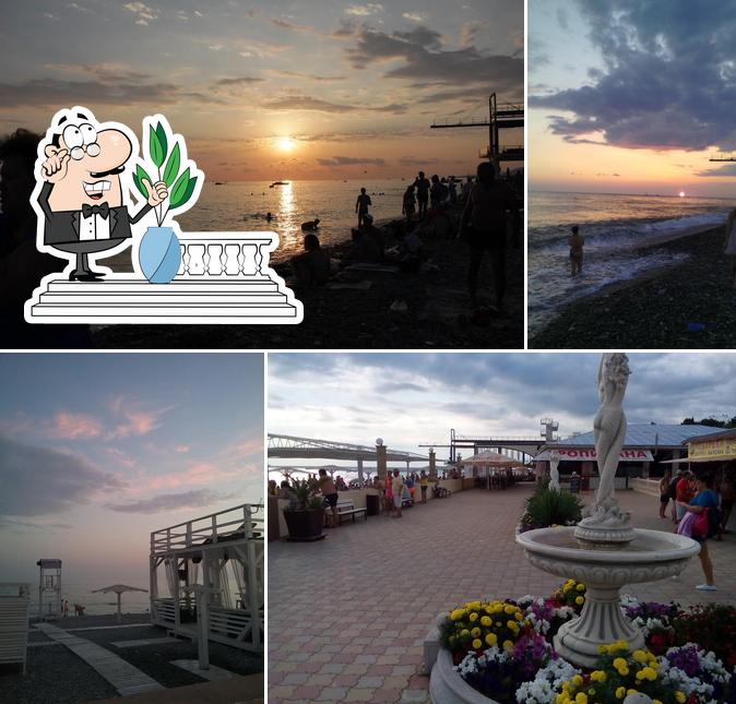 Тропикана
