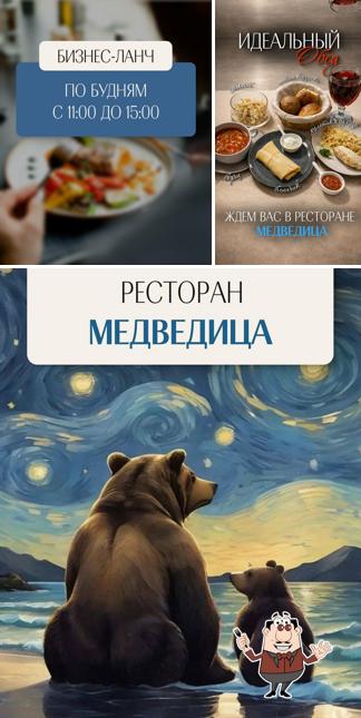 Медведица